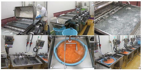 微酸性电解水在日本食品加工厂的应用实例